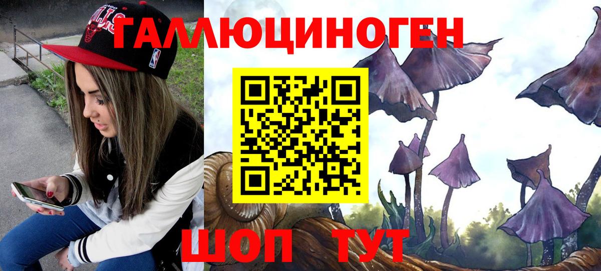 Якутск  Псилоцибиновые грибы мицелий  Вход с VPN  Галлюциногенные грибы Cubensis 